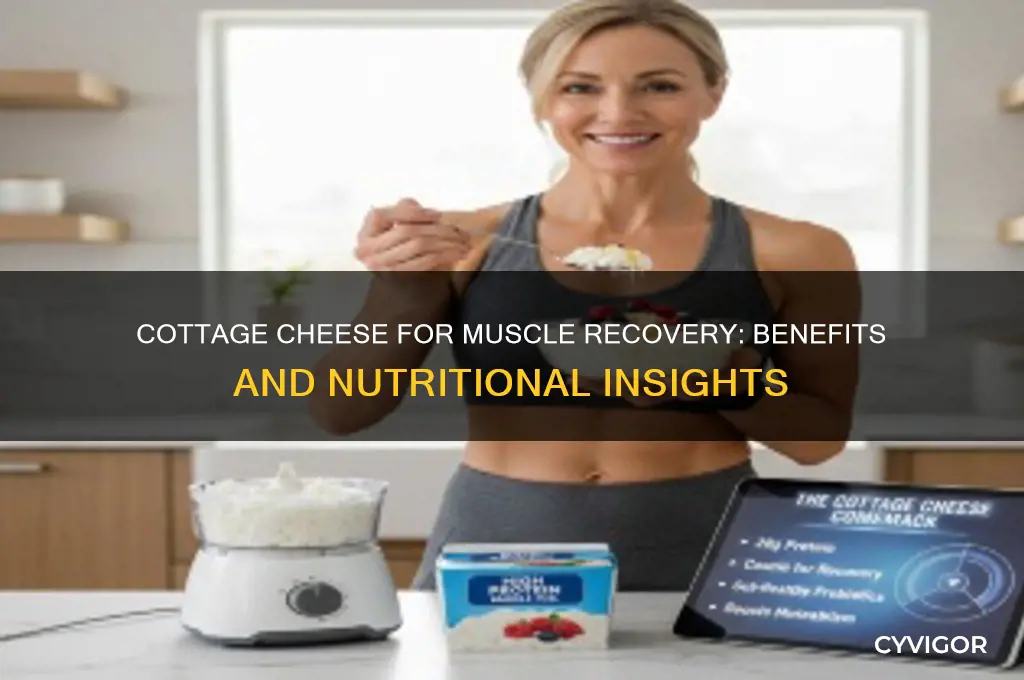 is cottage cheese good for muscle recovery