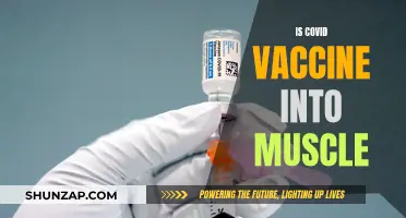 Muscle Injections: COVID Vaccines and Their Administration
