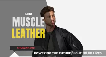 Cow Muscle Leather: The New Sustainable Fashion Trend