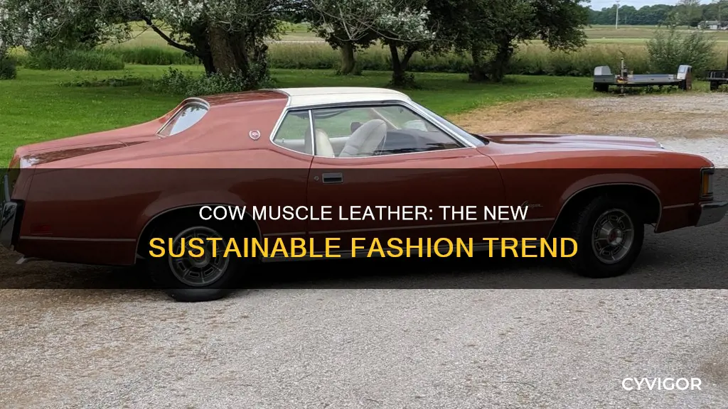 is cow muscle leather