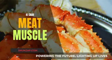 Crab Meat: Muscle or Not?
