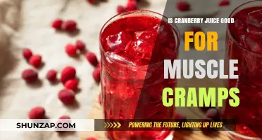 Cranberry Juice and Muscle Cramps: Benefits, Myths, and Facts