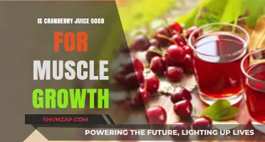 Cranberry Juice and Muscle Growth: Fact or Fiction?