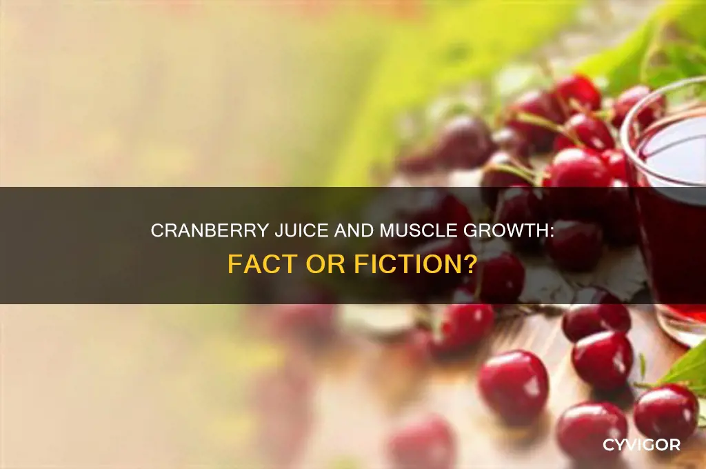 is cranberry juice good for muscle growth