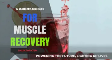 Cranberry Juice Benefits: Enhancing Muscle Recovery After Intense Workouts