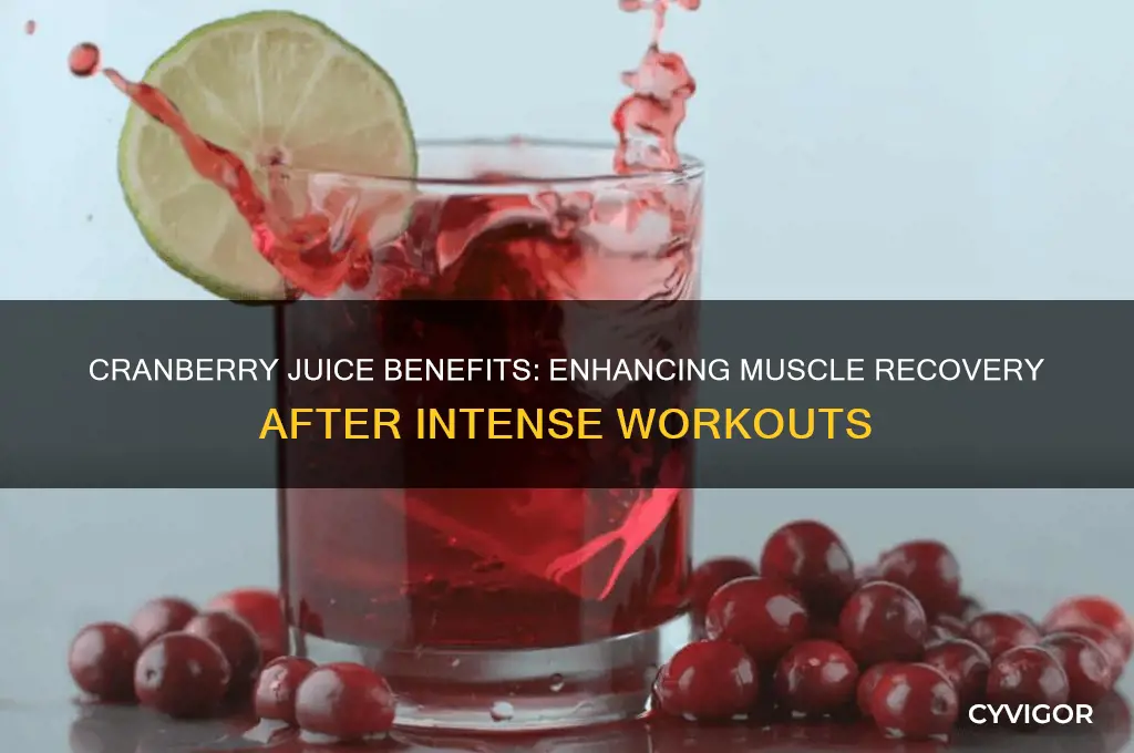 is cranberry juice good for muscle recovery