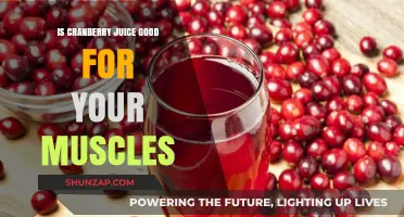 Cranberry Juice Benefits: Can It Boost Muscle Recovery and Growth?