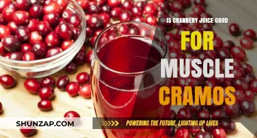 Cranberry Juice and Muscle Cramps: Fact or Fiction?