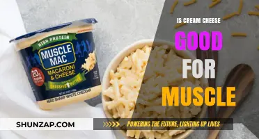 Cream Cheese and Muscle Growth: Benefits, Myths, and Nutritional Insights