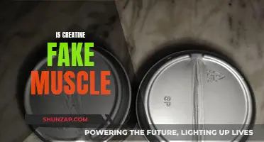 Creatine: Fake Muscle or Real Strength Builder?
