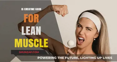Is Creatine the Key to Building Lean Muscle Effectively?
