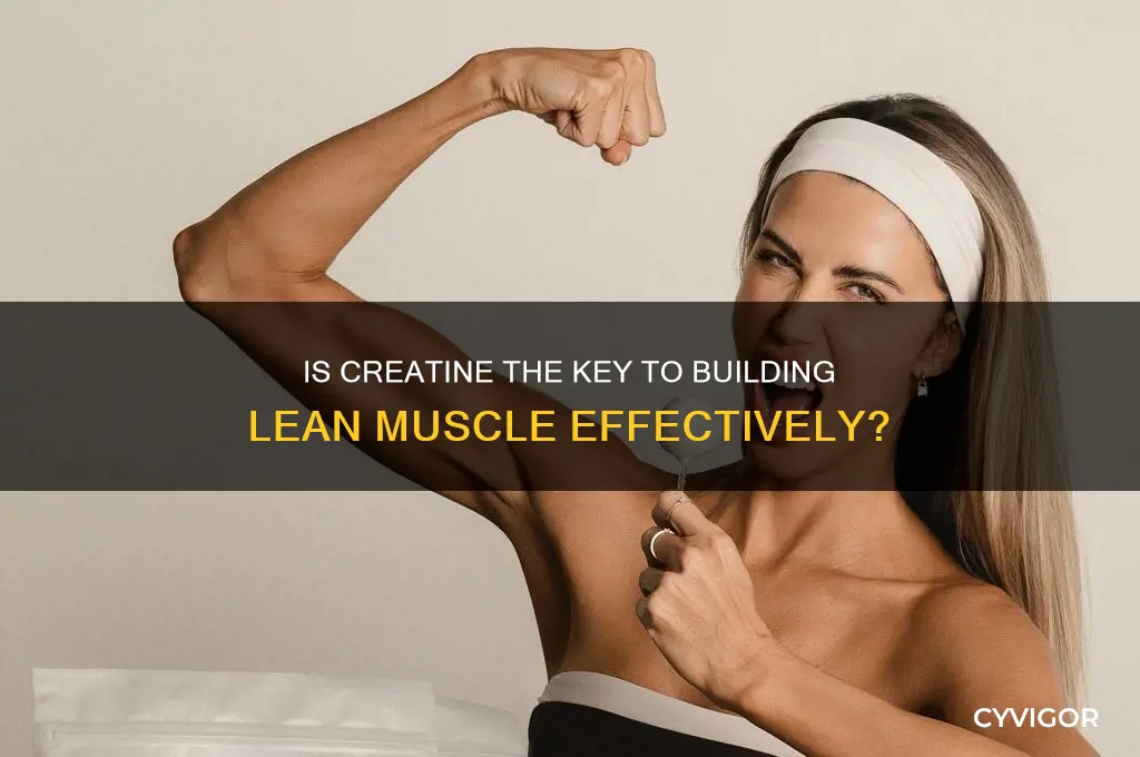is creatine good for lean muscle