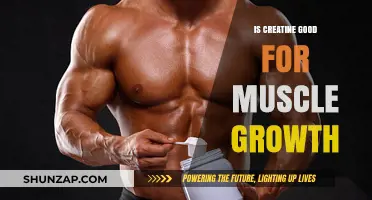 Creatine for Muscle Growth: Benefits, Science, and Effective Usage