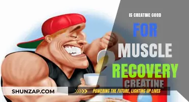 Creatine's Role in Muscle Recovery: Benefits, Timing, and Effectiveness