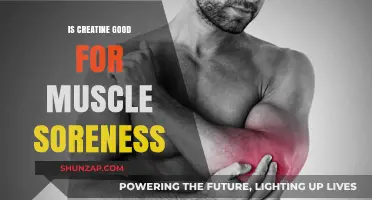 Creatine for Muscle Soreness: Benefits, Recovery, and Pain Relief Explained