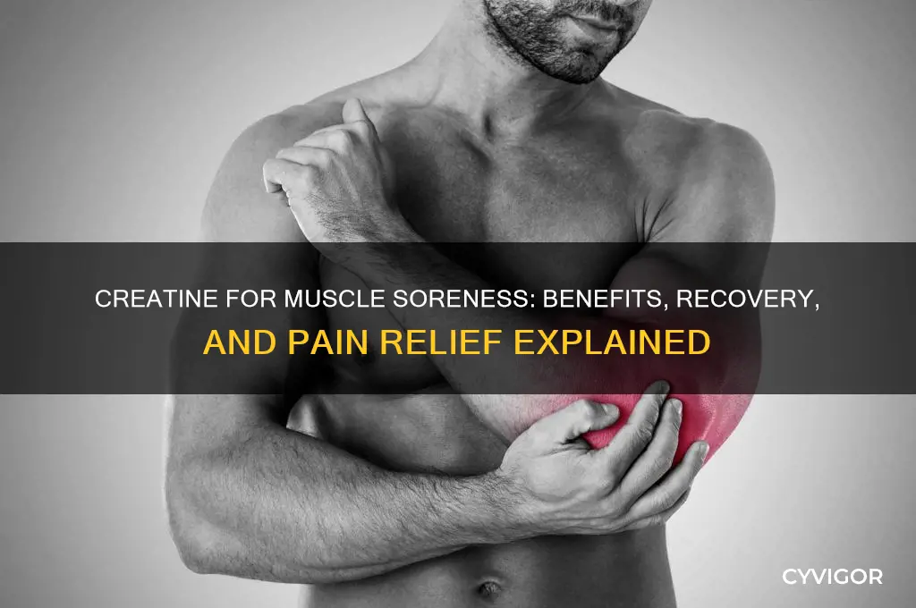 is creatine good for muscle soreness