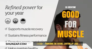 Creatine Benefits: Boosting Muscle Growth, Strength, and Recovery Effectively