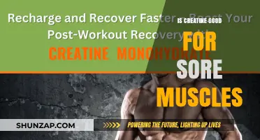 Creatine for Muscle Soreness: Benefits, Recovery, and Effective Use