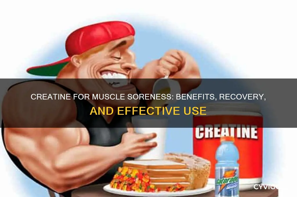 is creatine good for sore muscles