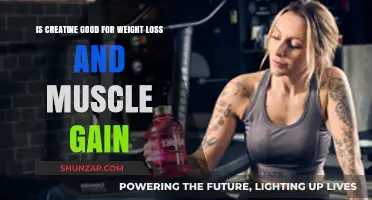 Creatine for Weight Loss and Muscle Gain: Fact or Fiction?