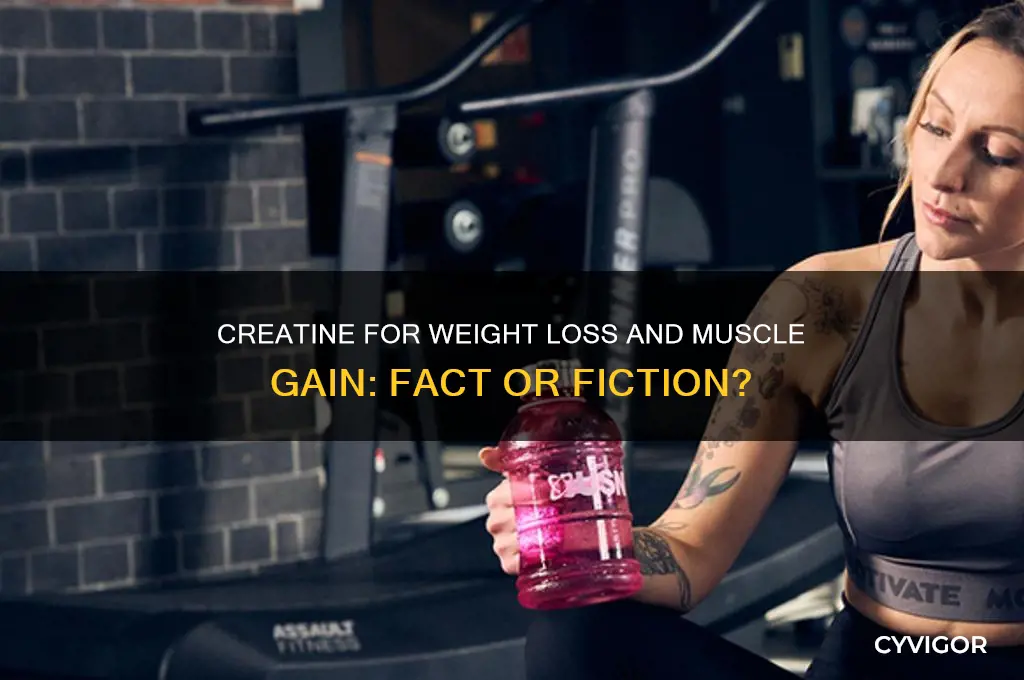 is creatine good for weight loss and muscle gain