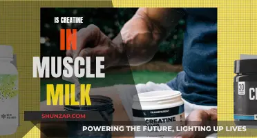 Muscle Milk's Creatine Content: What You Need to Know