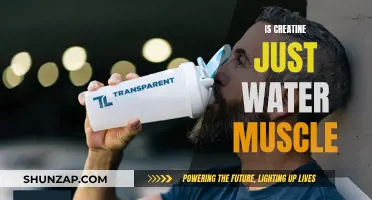 Creatine: Water Muscle Myth or Muscle-Building Fact?