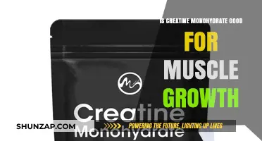 Creatine Monohydrate: The Ultimate Muscle Growth Supplement?