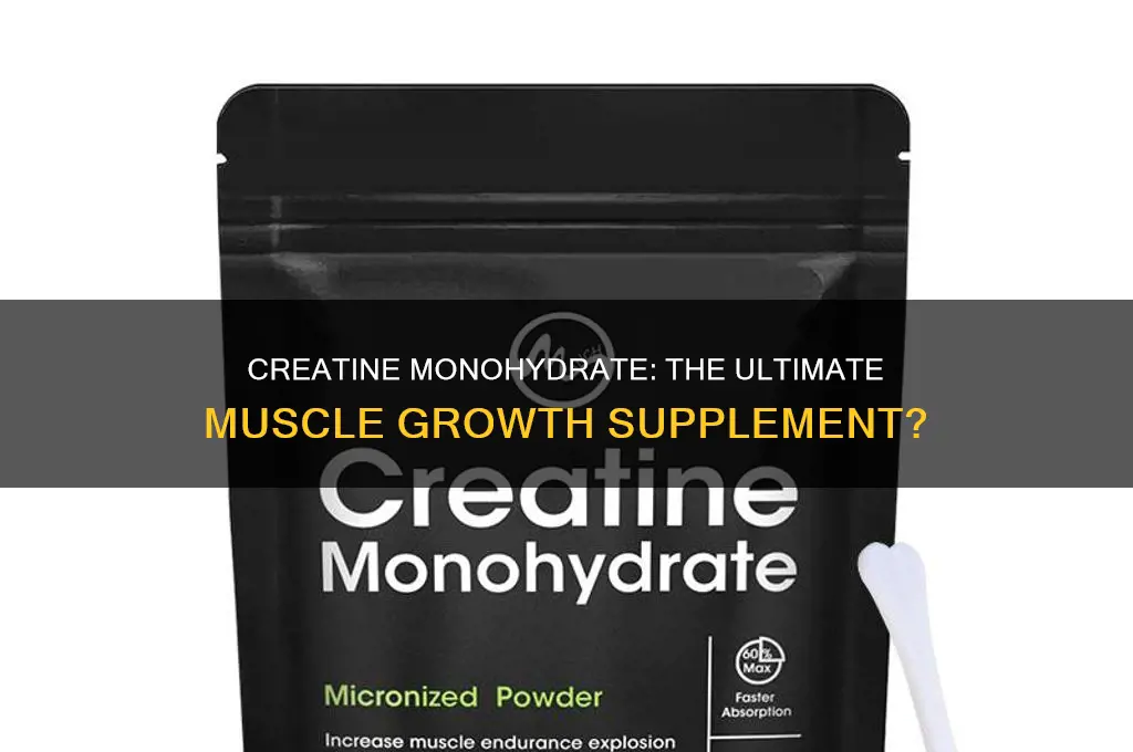 is creatine monohydrate good for muscle growth