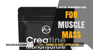 Creatine Monohydrate: The Ultimate Muscle Mass Builder?