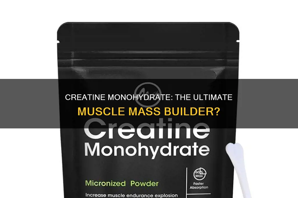 is creatine monohydrate good for muscle mass