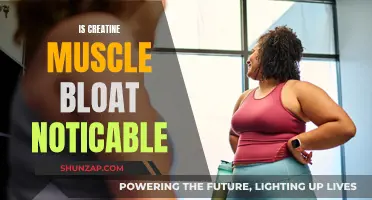 Creatine Muscle Bloat: Fact or Fiction?