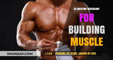 Unlocking Muscle Growth: The Truth About Creatine Supplementation