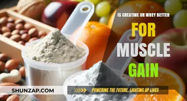 Creatine vs. Whey: Which Supplement Boosts Muscle Gain Faster?
