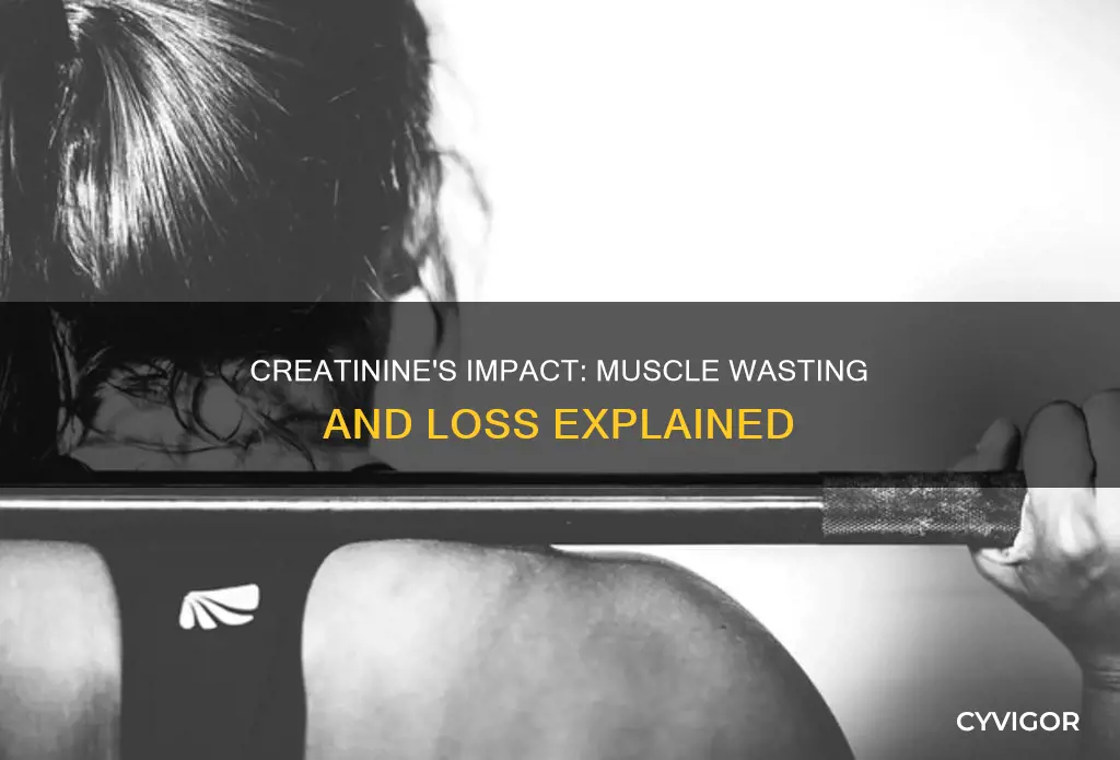 is creatinine muscle wasting increase