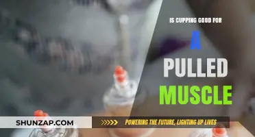 Cupping Therapy for Pulled Muscles: Benefits, Risks, and Recovery Tips
