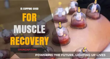 Cupping Therapy: Effective Muscle Recovery Technique or Just a Trend?
