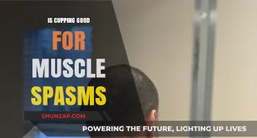 Cupping Therapy: Effective Relief for Muscle Spasms or Just a Trend?