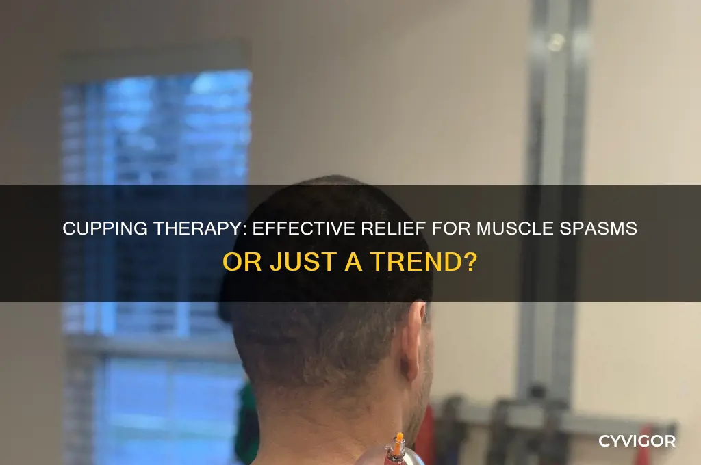 is cupping good for muscle spasms