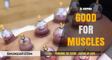 Cupping Therapy Benefits: Does It Really Help Muscle Recovery?