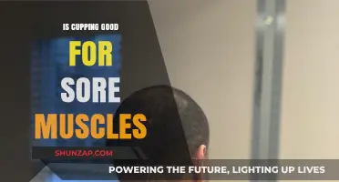 Cupping Therapy: Effective Relief for Sore Muscles or Just a Trend?