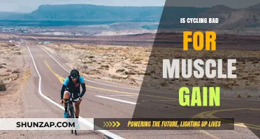 Cycling and Muscle Gain: Debunking Myths for Strength Enthusiasts