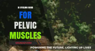 Cycling's Impact: Strengthening Pelvic Muscles and Enhancing Core Stability