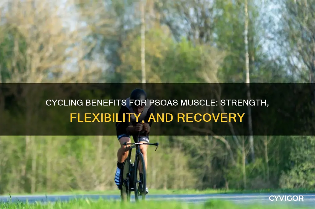 is cycling good for psoas muscle