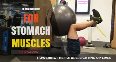 Cycling for Core Strength: How It Benefits Your Stomach Muscles