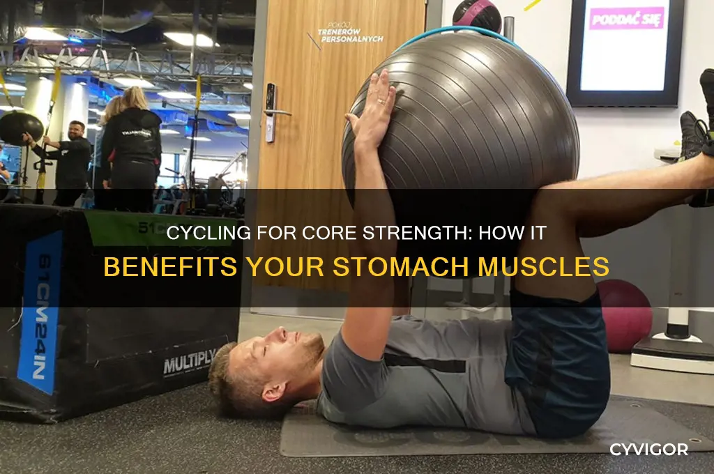 is cycling good for stomach muscles