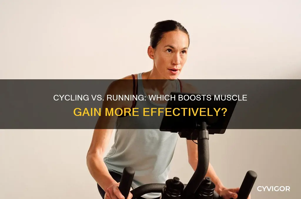 is cycling or running better for muscle gain
