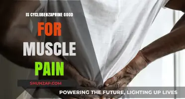 Cyclobenzaprine for Muscle Pain: Benefits, Risks, and Effectiveness Explained