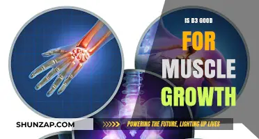 Is D3 Essential for Muscle Growth? Unlocking Vitamin D's Role