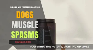 Daily Multivitamins for Dogs: Effective Relief for Muscle Spasms?